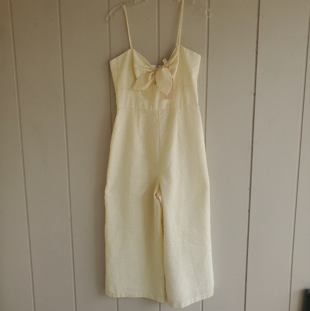 Hutch Pale Yellow Textured Jumpsuit with Front Bow